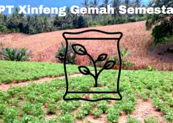 Dukung Program Ketahanan Pangan Nasional, Pekan ini PT Xinfeng Gemah Semesta Salurkan Bantuan Pupuk