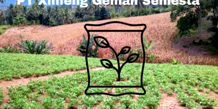 Dukung Program Ketahanan Pangan Nasional, Pekan ini PT Xinfeng Gemah Semesta Salurkan Bantuan Pupuk
