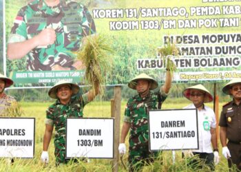 Dorong Ketahanan Pangan Nasional, Danrem 131/Santiago Pimpin Panen Raya di Desa Mopuya Utara Satu