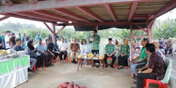 Bahas Kerjasama Bidang Pertanian, Weny Gaib Terima Kunjungan Dirut PT Turkodom Indonesia