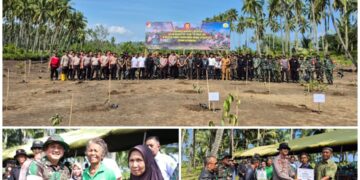 Jelang HUT Ke 80 TNI, Kodim 1303/Bolmong Gelar Penanaman Mangrove