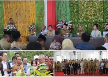 Buka Peluang Kerjasama Pertanian Kakao, Weny Gaib Terima Kunjungan Investor Jepang