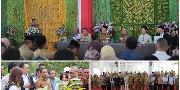 Buka Peluang Kerjasama Pertanian Kakao, Weny Gaib Terima Kunjungan Investor Jepang