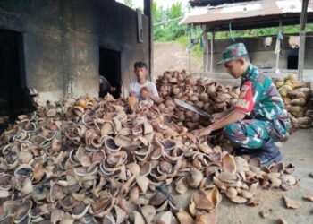 Babinsa Bantu Petani Olah Kopra, Dorong Produktivitas Petani di Desa Popodu