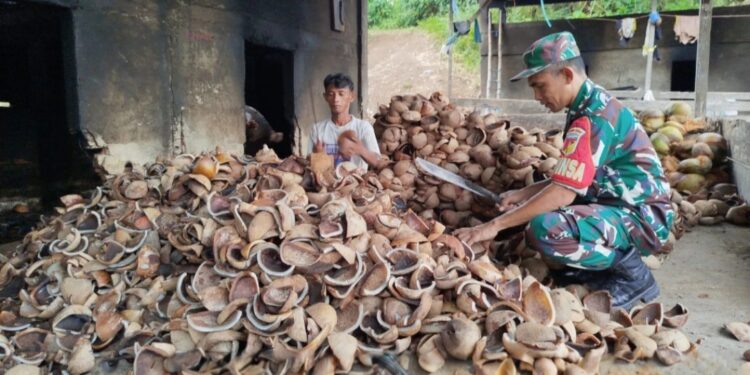 Babinsa Bantu Petani Olah Kopra, Dorong Produktivitas Petani di Desa Popodu