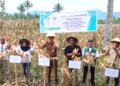 Wakili Wali Kota, Asisten I Pemkot Kotamobagu Hadiri Panen Raya Jagung di Desa Moyag Tampoan