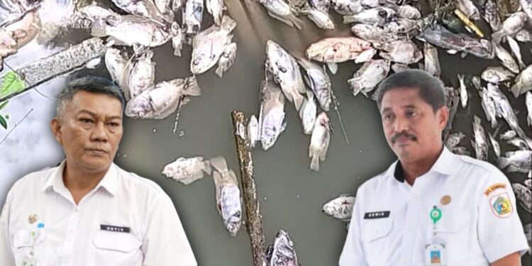 Diduga Sungai Tercemar Limbah Beracun, Ribuan Ikan di Kolam Budidaya Desa Poyowa Besar Mati Mendadak