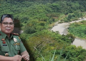 PETI di Hutan Lindung Totabuan, Dinas Kehutanan Sulut Segera Turun Tangan