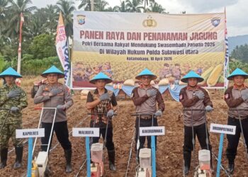 Dukung Swasembada Pangan, Weny Gaib Hadiri Panen Raya dan Penanaman Jagung Polres Kotamobagu