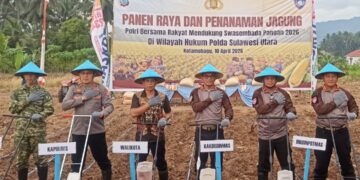 Dukung Swasembada Pangan, Weny Gaib Hadiri Panen Raya dan Penanaman Jagung Polres Kotamobagu